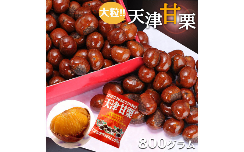 
[№5315-0872]天津甘栗 800g
