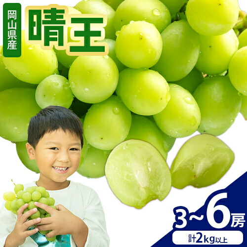 【2026年先行予約】シャインマスカット【晴王】 岡山県産 3～6房(計2kg以上) 株式会社Myself《2026年9月上旬-10月下旬頃出荷》マスカット 送料無料 岡山県 浅口市 ぶどう フルーツ 果物 贈り物 ギフト