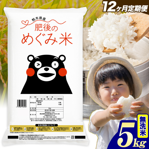 【12ヶ月定期便】無洗米 熊本県産 ブレンド米 肥後のめぐみ米 5kg 熊本県産 ふるさと納税 精米 米 こめ ふるさとのうぜい コメ お米 おこめ《お申込み翌月から出荷》
