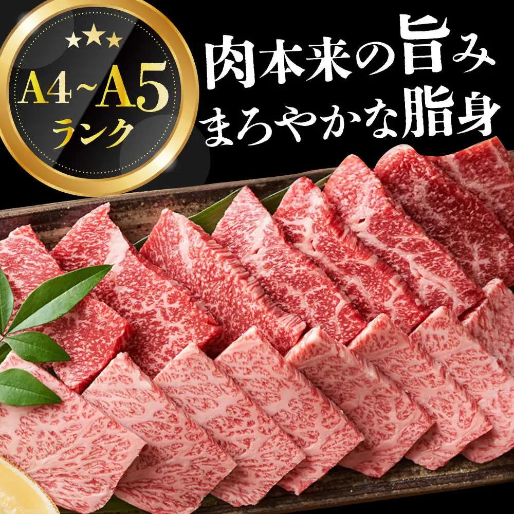 【3回定期便】【訳あり】 A4-A5 長崎和牛 焼肉 切り落とし (肩ロース・バラ） 500g [DBS042] 訳アリ 牛肉