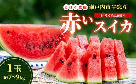 スイカ 瀬戸内市牛窓産 【紅まくら品種使用】1玉(約7～9kg)  スイカ