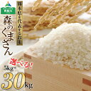 【ふるさと納税】 【10月中旬発送】新米 お米 米 森のくまさん 令和6年 ふるさと納税 令和6年度 選べる 5kg 10kg 20kg 30kg 白米 こめ おこめ 阿蘇米 内田農場 米 お米 美味しい 寒暖差 湧き水 お取り寄せ 食卓 豪華 贅沢 自然 湧水 熊本県 阿蘇市