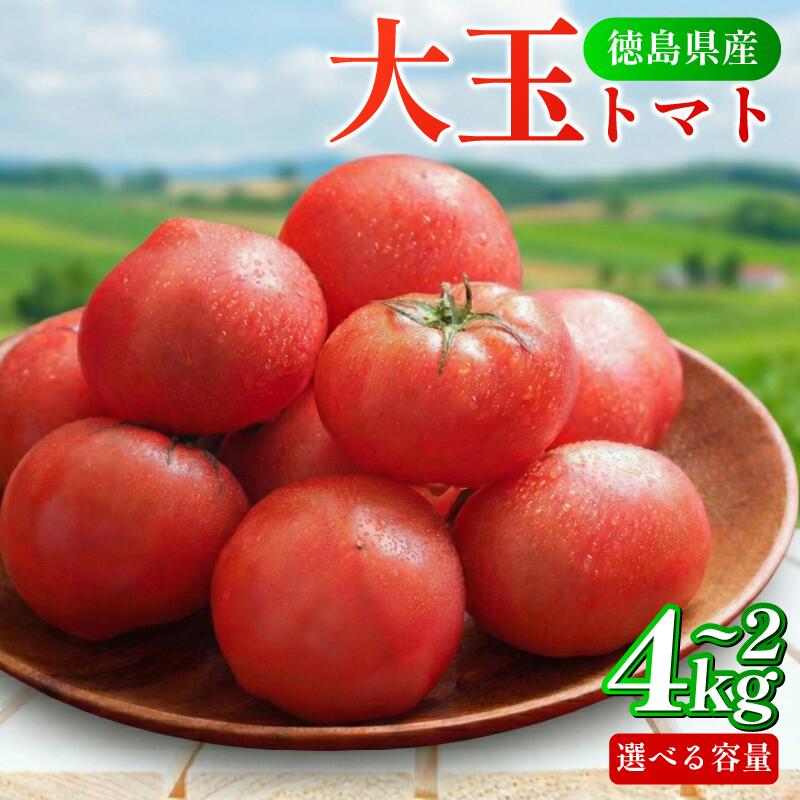 【ふるさと納税】 トマト 2kg 大玉 とまと 4月から6月発送 野菜 やさい 国産 産地直送 数量限定 旬 徳島県産 tomato サラダ おすすめ 徳島県 5000 5000円 5000円以内