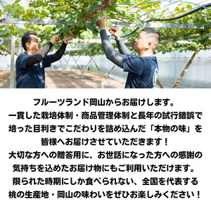 清水白桃 8玉 約2.0kg 岡山県産 【先行予約 2025年7月中旬から順次発送】