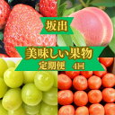 【ふるさと納税】＜定期便＞坂出の美味しい果物定期便　季節の果物を年間4回に分けてお届け！ | フルーツ 果物 くだもの 食品 人気 おすすめ 送料無料