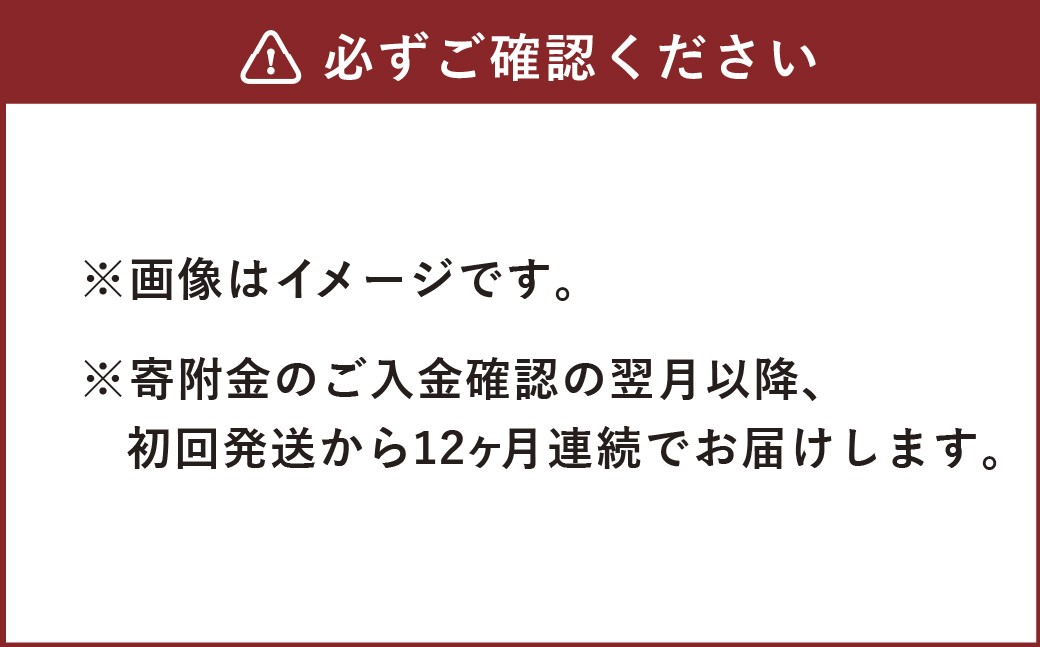 【12ヶ月定期便】天然鉱泉水「信玄」ナチュラルミネラルウォーター