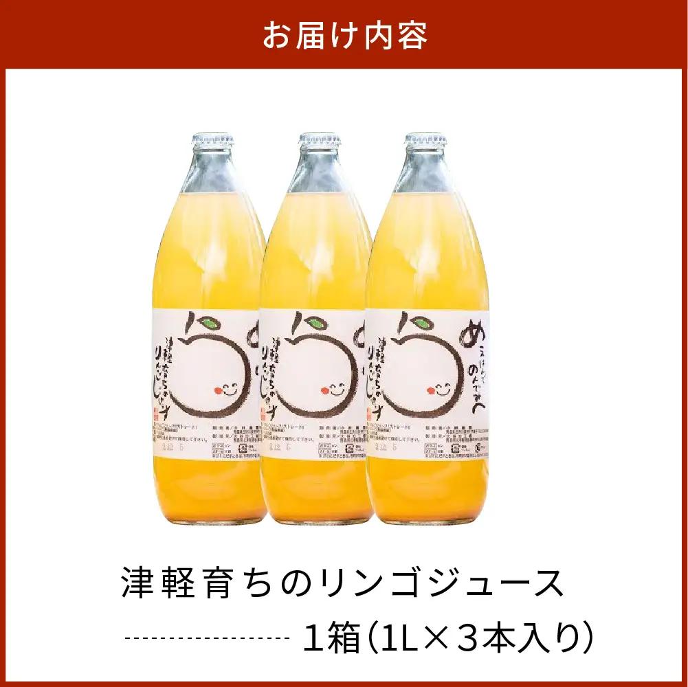りんごジュース １L×3本【11月より順次発送】100％ストレート果汁 小林りんご農園