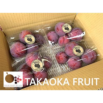 ふるさと納税 中野市 「産地より信州中野の旬をお届け♪」 高丘フルーツの長野県産「プラム(すもも)」贈答用　約2Kg |  | 01