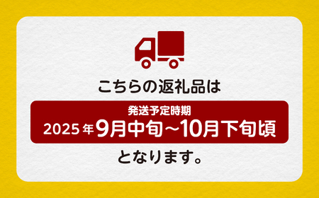 梨 10kg 採れたて あきた梨 24?36玉前後 【加賀谷農園】
