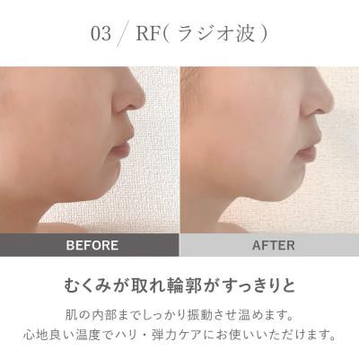 ふるさと納税 犬山市 【LOABI/ロアビ公式】1台13役 美顔器 NITENA ニテナ |  | 03