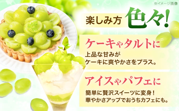 フルーツ フルーツ定期便 果物 果物定期便 くだもの ブドウ ぶどう シャインマスカット マスカット しゃいんますかっと
