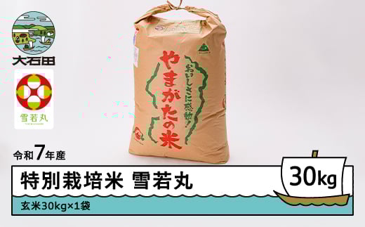 
                  米 令和7年産 米 雪若丸 30kg 大石田町産 特別栽培米 玄米 ※沖縄・離島への配送不可 ja-yugxa30
                