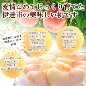 〈先行予約〉伊達市産桃　まどか3kg （8～11玉） F20C-501