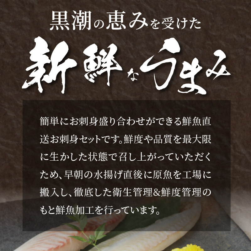 〈数量限定・訳あり〉日向灘活〆ロインお刺身3種の食べ比べ〈其の壱〉　計470g以上　B059