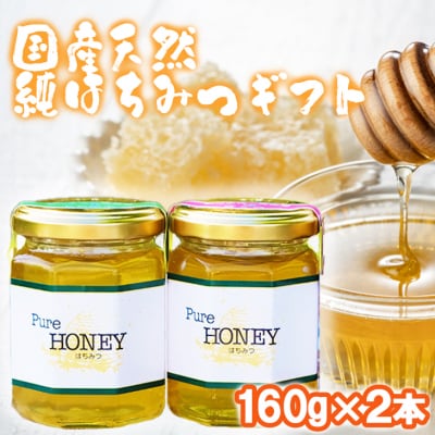 【ふるさと納税】はちみつ 化粧箱入り 国産 天然 純はちみつ 160g×2本セット さくら＆もちのき ギフト 《包装対応、手提げ袋付》 　お届け：2025年5月より順次発送いたします。