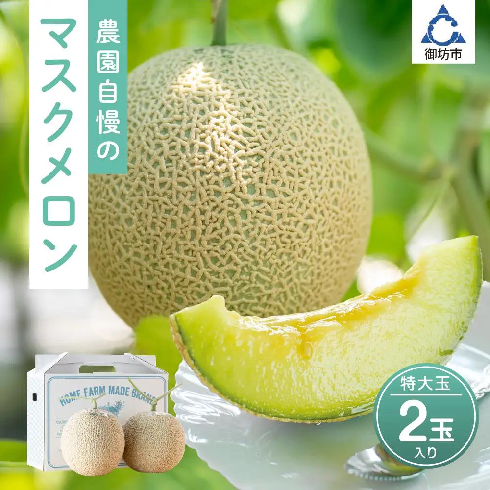 農園自慢の『マスクメロン』（アールスメロン）特大玉×2玉入り《先行予約》2027年6月下旬から順次発送【配送不可地域：北海道・青森・秋田・岩手・沖縄・離島】【0265-5】