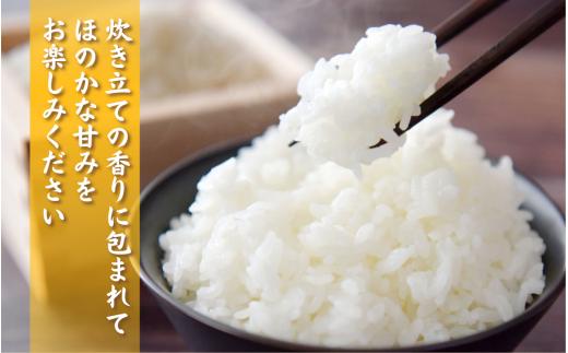 【先行予約】【令和8年産】自然の清流が育んだ奥越産コシヒカリ10kg（精米 5kg×2袋）※2026年9月10日以降順次発送予定 [B-086001]