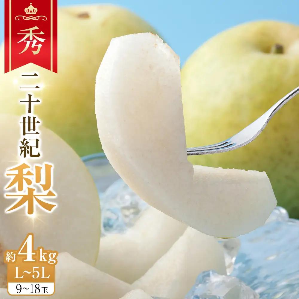 【先行予約】二十世紀梨 秀 約4Kg L～5L 9～18玉前後 ※2026年8月下旬～9月下旬頃に順次発送予定 梨
