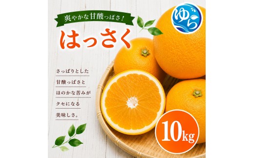 和歌山県産 はっさく 10kg サイズおまかせ【eiw021-r-10】