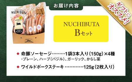『NUCHIBUTA Bセット』 豚肉 ポークステーキ ソーセージ 詰め合わせ お取り寄せ 国産 ギフト 冷凍 沖縄市 / DELICATESSEN NUCHIBUTA[BCAR004]