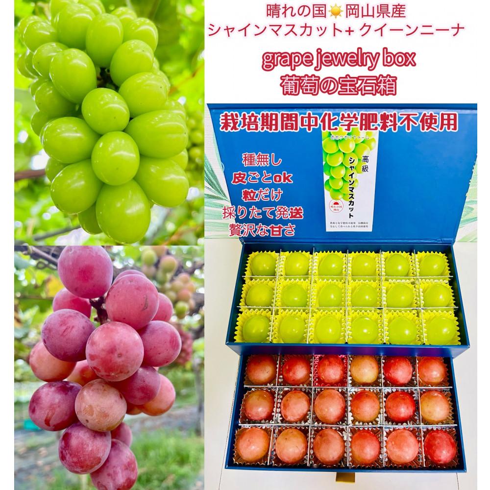 【ふるさと納税】ぶどう 2025年 先行予約 シャインマスカット クイーンニーナ 大粒のみ 36粒 JEWELBOX ギフト 贈り物 岡山 国産 果物 フルーツ シャイン マスカット | フルーツ 果物 くだもの 食品 人気 おすすめ
