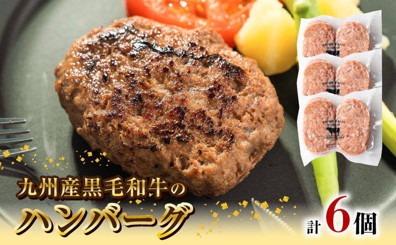 九州産黒毛和牛のハンバーグ(100g×2個入り)×3パック N0105-YA0303
