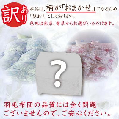 ふるさと納税 糸島市 【訳あり】【 糸島羽毛ふとん】【高級ダウン使用】柄おまかせダウン93%【シングル】[AYM014] |  | 02