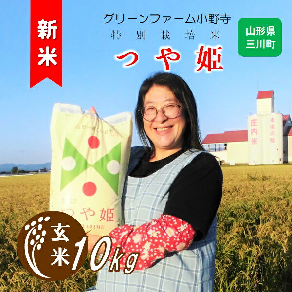 【ふるさと納税】【玄米】グリーンファーム小野寺の特別栽培米つや姫10kg※10月中旬頃から順次配送予定（グリーンファーム小野寺）