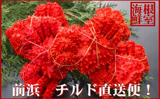 
                  A-57052 【北海道根室産】茹でたて花咲ガニ5～6尾(計1.6kg前後)(チルド便)
                