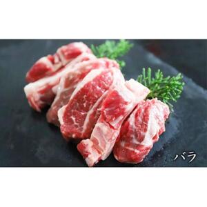【先行予約/2026年2月以降発送】北海道産しべちゃサフォーク（羊肉）生ラム　ファミリーセット900g（リブカタロース・カルビ・モモ各300g）| ラム