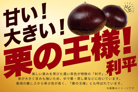 生栗 1kg 利平 栗 くり 国産  2L サイズ 以上 大きい 大粒 取り寄せ 笠間 茨城 和栗 甘栗 低温熟成 ギフト プレゼント 秋 旬 おやつ スイーツ 果物 フルーツ 焼き栗 栗ご飯 栗きん