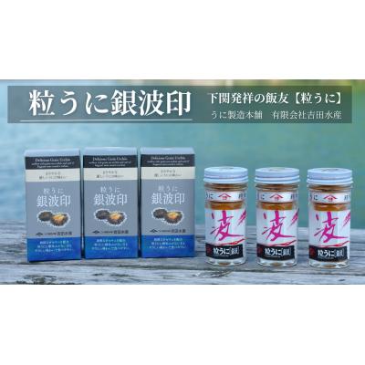 ふるさと納税 下関市 粒うに銀波印 55g 3本セット 常温 下関 山口 ED04-NT-x