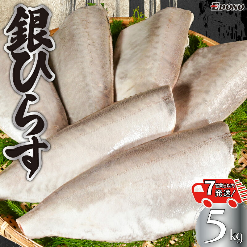 【ふるさと納税】 銀ひらす 5kg 【 スピード配送 】 人気 お弁当 おかず 焼魚 白身魚 新鮮 魚介 魚貝 魚 海鮮 大容量 小分け ギフト お取り寄せ グルメ プレゼント 贈答 贈り物 冷凍食品 冷凍品 ふるさと納税 ふるさと納税魚 送料無料 千葉県 銚子市 エドノフーズ