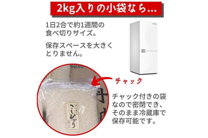 【定期便】令和6年産 新米 京都丹波米こしひかり6kg(2kg×3袋)×12回 計72kg 米 6kg 12ヶ月 白米 12回定期便 ※精米したてをお届け◇ ｜ 小分け 小袋 チャック付 米・食味鑑定士 厳選 コシヒカリ 京都丹波産 ※北海道・沖縄・離島への配送不可 ※2024年10月上旬以降順次発送予定