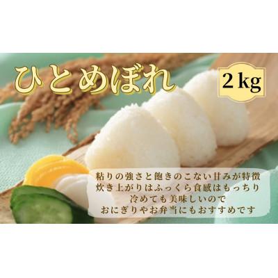 ふるさと納税 栗原市 【令和7年産】宮城栗原産 ひとめぼれ 白米2kg (2kg×1袋)