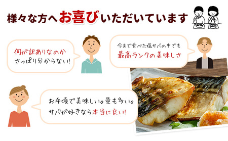 【訳あり】勝浦市の人気の海鮮お礼品 無添加 塩サバ 3kg【配送不可地域：離島】【1240161】