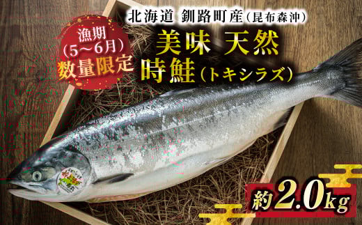 
            【数量限定】美味 北海道 釧路町産（昆布森沖）天然 時鮭（トキシラズ）姿切り身 約2.0kg｜極上 脂乗り 旨味を急速 冷凍で お届け 時知らず 鮭 北の海の至宝 ふるさとチョイス限定 冷凍 魚介類 海鮮 絶品 人気 カネショウ 北海道 釧路町 釧路超 特産品 br02
          