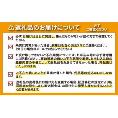 ふるさと納税 愛南町 愛南ゴールド ( 河内晩柑 ) 8kg 愛南町 青果市場 なくなり次第終了 |  | 03