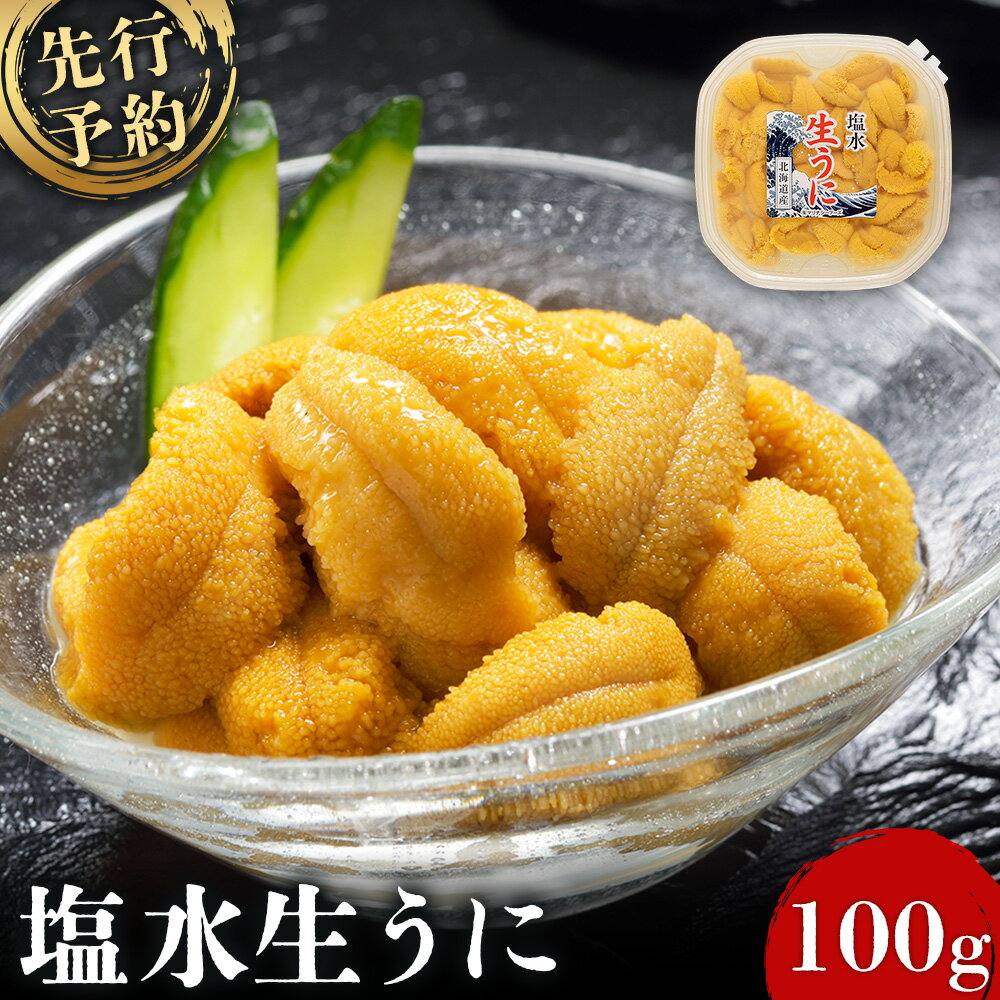【ふるさと納税】【6月上旬〜8月中旬発送予定】北海道産 塩水ウニ 100g×1 ウニ うに 100g 1パック ミョウバン不使用 北海道 人気 旬 新鮮 羽幌町 羽幌 ふるさと納税【0211702】