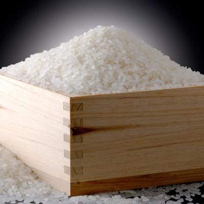 ふるさと納税 南魚沼市 【令和7年産】南魚沼産こしひかり「秋雪」白米4kg 新潟県の特A地区南魚沼市の美味しいお米 |  | 01