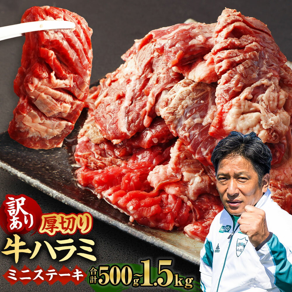 【ふるさと納税】【訳あり】厚切り牛ハラミ ミニステーキ ［選べる容量］500g ～ 1.5kg パック 塩味 牛肉 ステーキ ハラミ 焼肉 焼き肉 BBQ 不揃い 冷凍 外国産 送料無料
