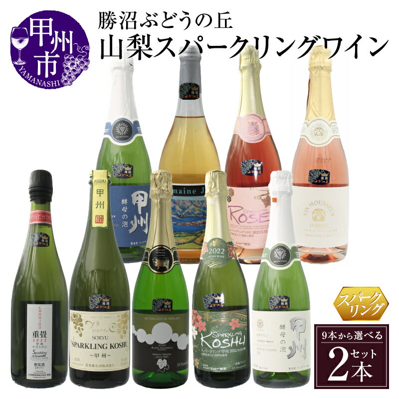 【ふるさと納税】 ワイン スパークリングワイン 2本 セット 選べる 種類 9本から自由に選べる 赤ワイン 白ワイン 日本ワイン 辛口 甘口 母の日 父の日 記念日 ギフト 山梨県 甲州市 【B17-601】