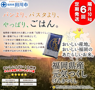 お米  【定期便/隔月】福岡県産元気つくし 10kg×6回  お米 