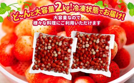 訳あり北海道ひだか東産 冷凍いちご「すずあかね」「すずりっか」（真空パック1.0kg×2袋）