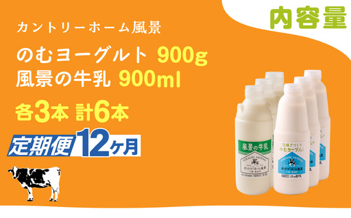 【定期12ヶ月】のむヨーグルト900g 風景の牛乳900ml 各3本 SKB102