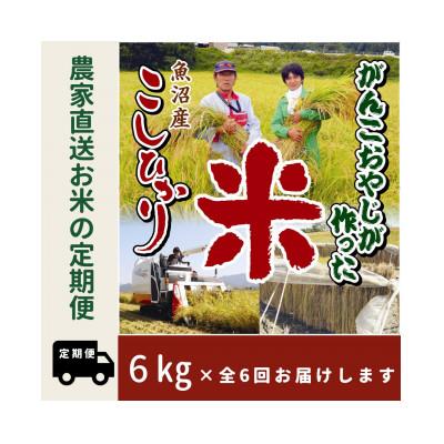 ふるさと納税 南魚沼市 【毎月定期便】がんこおやじが作った南魚沼産コシヒカリ白米6kg(3kg×2)全6回