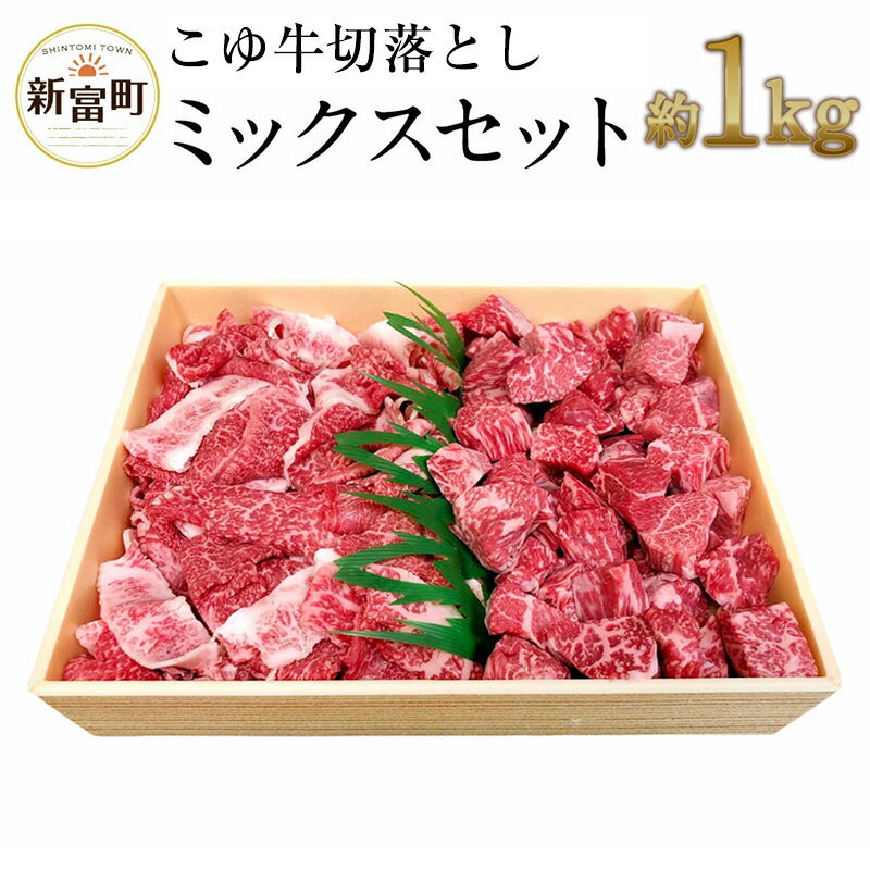 【ふるさと納税】宮崎黒毛和牛＜こゆ牛＞切り落とし 約1kg ミックスセット A4等級以上 スライス サイコロ カット カレー・シチュー用 ブランド牛 宮崎県産 冷凍 和牛 牛肉 国産 訳あり