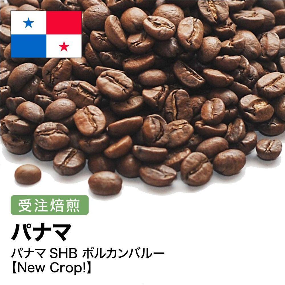 【ふるさと納税】コーヒー豆 #267 パナマSHB ボルカンバルー 受注焙煎！310g 珈琲豆 自家焙煎 | 珈琲 飲料 コーヒー豆 ソフトドリンク 人気 おすすめ 送料無料