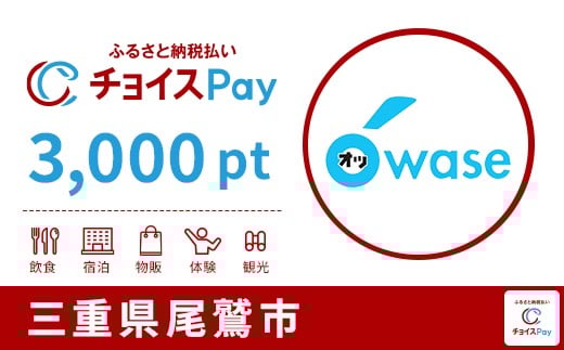 
            尾鷲市チョイスPay 3,000pt【会員限定のお礼の品】
          