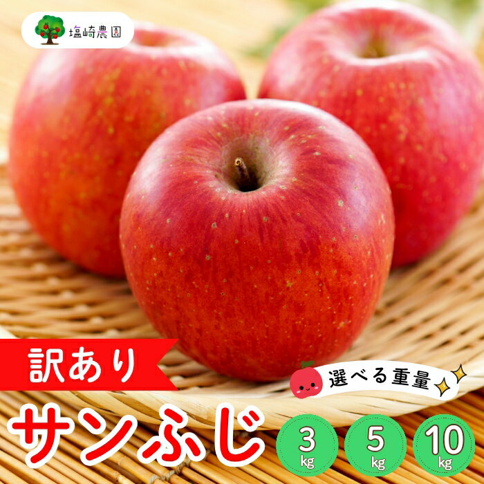 【ふるさと納税】【先行予約】【訳あり】サンふじ 信州 りんご選べる3kg 5kg 10kg ＜出荷時期：2025年12月中旬ごろ〜＞（2025年産） (7-A-1-2-3)【 りんご フルーツ 長野県 飯山市 甘味 酸味 リンゴ 林檎 くだもの 果物 ギフト プレゼント わけあり 訳あり 規格外 】
